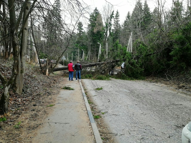Специалисты очищают дороги от поваленных деревьев после урагана в Рузском округе