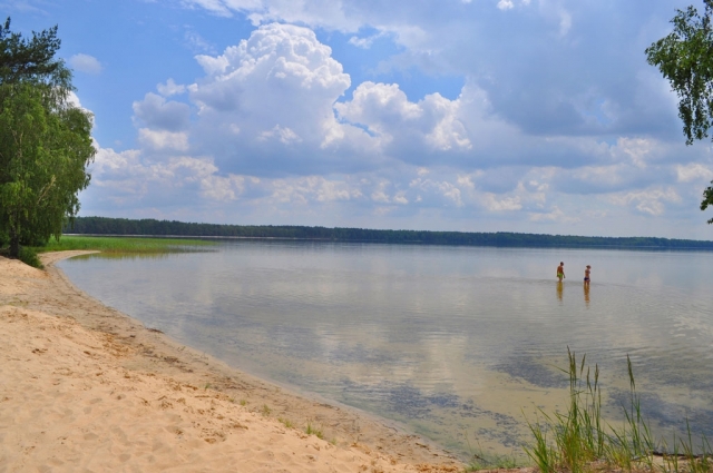 Четыре официальных пляжа начнут работу в Рузском округе с 1 июня