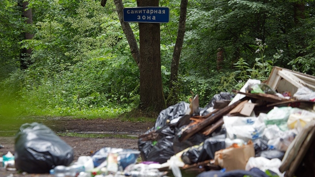 Более 20 навалов мусора ликвидировано в Рузском городском округе