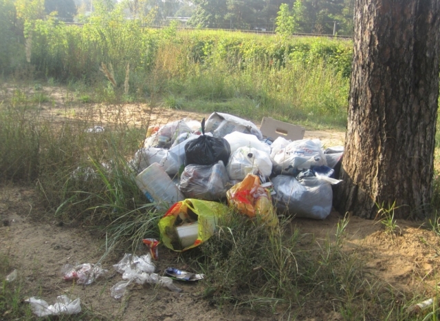 22 навала мусора ликвидировано в Рузском городском округе