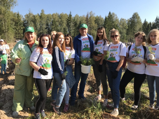 Более трех тысяч человек приняли участие в акции «Наш лес. Посади свое дерево» в Рузском городском округе