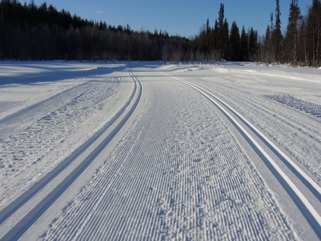 Несколько километров лыжных трасс оборудуют в Рузском округе