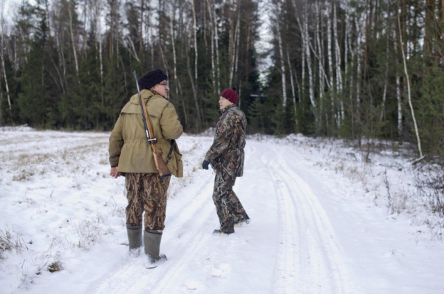 Осенне-зимний сезон охоты на лосей завершится в Московской области 15 января