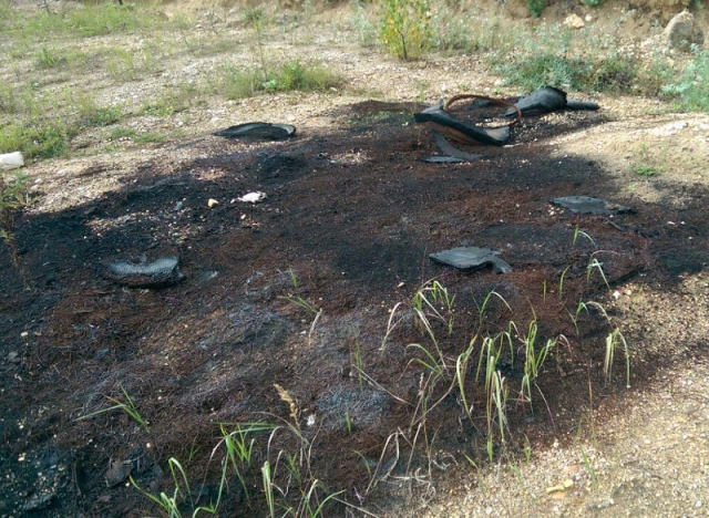 Минэкологии: рузское предприятие наказано за разлив и сжигание опасных отходов
