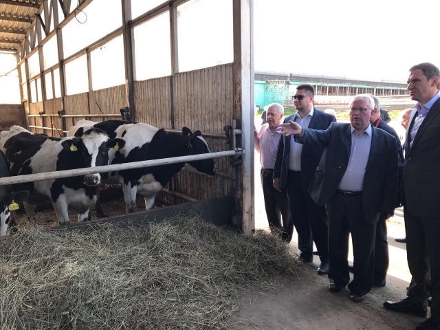 В Подмосковье началась реализация программы по реконструкции молочных ферм