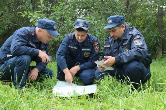 29 заблудившихся вывели из леса спасатели Московской области с начала 2017 года