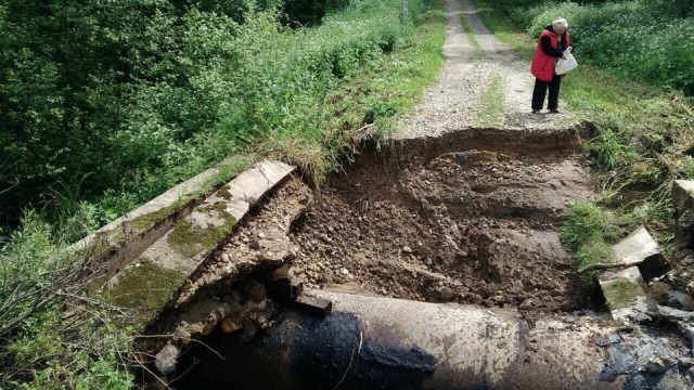 В Подмосковье дождем размыло единственный мост в деревню Деменково