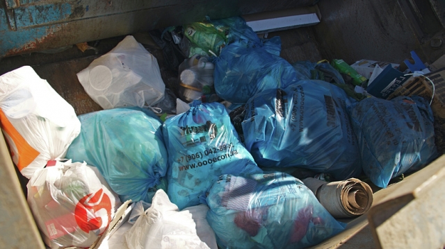 Гимназистам из Рузы рассказали об правилах сбора и утилизации отходов