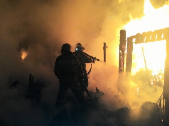 Местные жители остановили огонь до прибытия пожарных в Рузском округе 