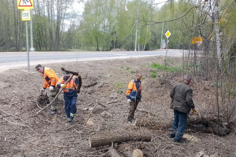В Рузском округе убирают ветки и поваленные деревья 