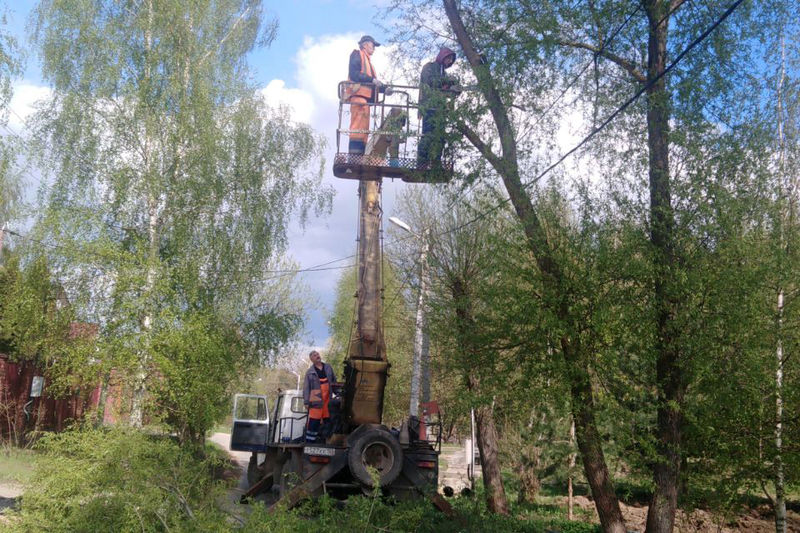 В Рузском округе кронируют деревья и обрезают кусты