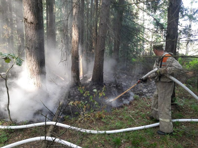 Ружан предупреждают о соблюдении противопожарной безопасности в лесу