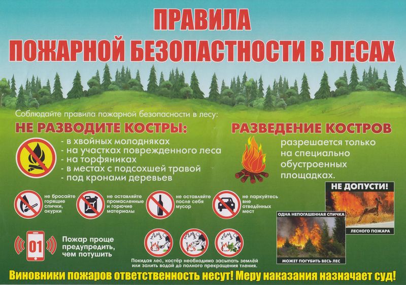 Ружане, соблюдайте правила пожарной безопасности в лесу!
