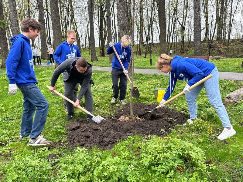 Молодогвардейцы приняли участие в общеобластном субботнике в Рузе